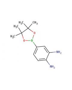 Astatech 4-(4,4,5,5-TETRAMETHYL-1,3,2-DIOXABOROLAN-2-YL)BENZENE-1,2-DIAMINE; 0.1G; Purity 98%; MDL-MFCD09027073